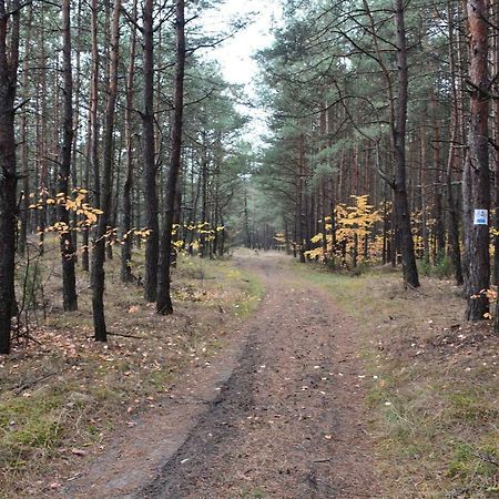 Dom Turysty "Tramp" Hotel Bukowno Bagian luar foto